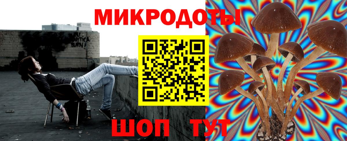 Псилоцибиновые грибы Cubensis Нальчик
